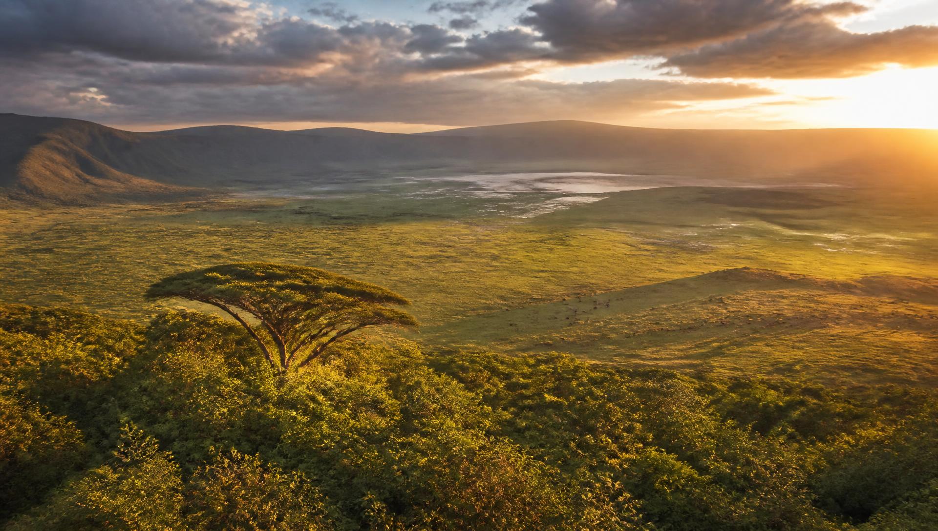 Tanzanian national park landscape at golden hour